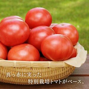 野菜ジュースVegemix（ベジミックス）15缶ギフト | 野菜ジュース_00686