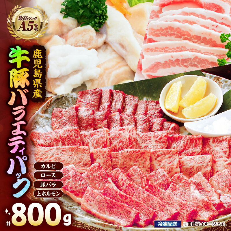 【ふるさと納税】 A5等級黒毛和牛＆鹿児島県産豚焼肉バラエティパック 800g 国産 鹿児島県産 牛 牛肉 黒毛和牛 豚 豚肉 カルビ ロース 豚バラ ホルモン 冷凍【カミチク】