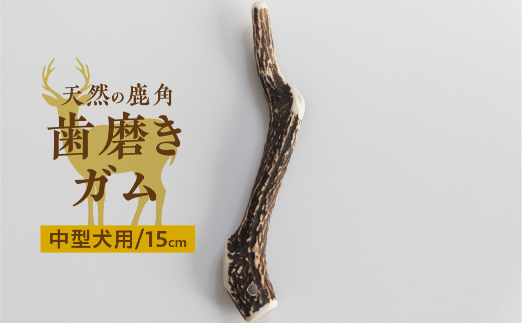 鹿角 犬用 歯磨きガム 15cm 中型犬用 デンタルケア おもちゃ ペット用品 犬 消毒済み 国産 天然 [mt1858] 6000円