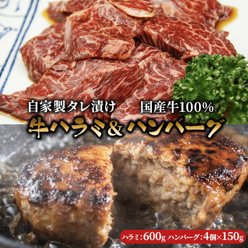 【ふるさと納税】ハラミ たれ漬け 600g ハンバーグ 150g 4個 セット 詰め合わせ 味付け肉 タレ 真空パック 焼肉 バーベキュー アウトドア 弁当 おかず 牛ハラミ 冷凍 惣菜 煮込みハンバーグ お肉 肉 牛肉 牛 手作り ギフト 贈り物 大阪 柏原市　 大阪府柏原市