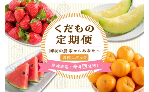 ≪2027年発送分≫産地直送！くだもの 定期便「お試しパック」御坊の農家からあなたへ。Ⅱ【配送不可地域：北海道・青森・秋田・岩手・沖縄・離島】 定期便 フルーツ 果物 すいか いちご メロン みかん くだもの デザート 旬 季節の果物 人気 おすすめ