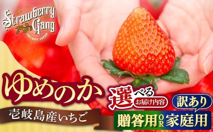 
                  いちご 【選べる贈答用/訳あり】 ゆめのか いちご 計1kg（250g×4パック） いちご 苺 イチゴ 果物 フルーツ いちご 甘い  ichigo strawberry イチゴ 生いちご 長崎県 壱岐市【Strawberry Gang】 [JEM001] お取り寄せいちご ゆめのか 甘い 赤い イチゴ 産地直送 こだわりいちご フレッシュ 贈答 くだもの 旬 新鮮 いちご
                