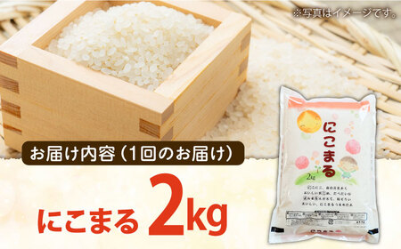 【12回定期便】 長崎県産 精米 にこまる 2kg 総計 24kg   / ふっくら 笑顔 お米 米 / 南島原市 / 大松屋商店[SDR012]