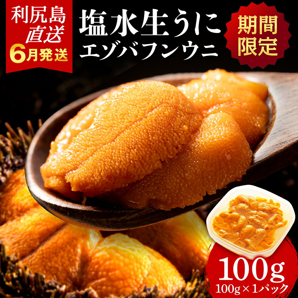 【ふるさと納税】【2025年発送予約】エゾバフンウニ 100g (100g×1パック) ＜利尻漁業協同組合＞ 雲丹 うに北海道ふるさと納税 利尻富士町 北海道 海鮮 北海道 海鮮 うに 生うに 北海道 うに 雲丹 通販 ギフト ウニ 贈答品 贈り物 塩水生うに