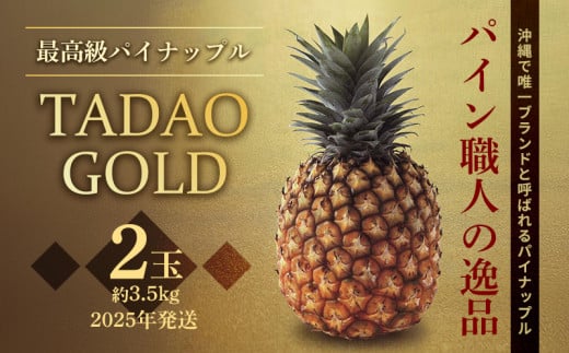 最高級パイナップル　TADAO GOLD　2玉　約3.5kg【ゴールドバレル】2025年発送 ゴールドバレル パイナップル タダオゴールド たまき ただお 逸品 パインアップル 最高級 国産パイン 贈答用 パイン 匠 高級フルーツ 南国フルーツ パイン職人 希少 玉城忠男 農家直送 沖縄 東村