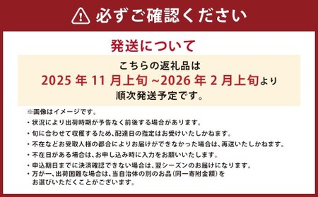 最高級 五つ星 至高のフルーツトマト pomodia ポモディア 約1.2kg（24～35個） [農事組合法人 た・から 山梨県 中央市 21470258] トマト とまと フルーツ 野菜 やさい 1
