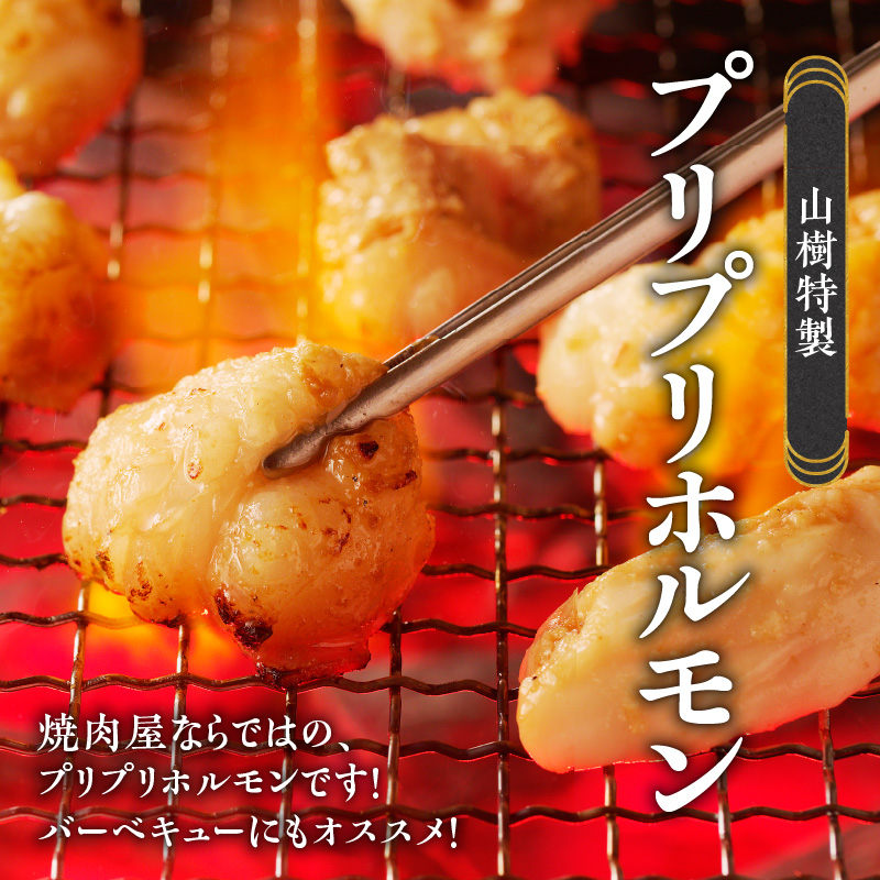 【ふるさと納税】山樹の国産牛とろホルモン焼き（味付き/タレ）1kg