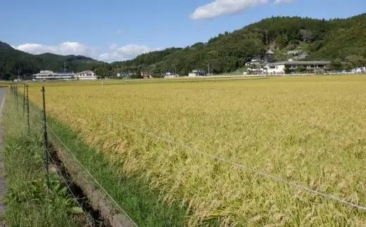 【新米先行予約】 令和8年産 銀河のしずく 5kg 白米 岩手県オリジナルブランド