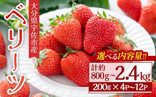
                  ＜選べる！内容量＞＜2026年1月上旬～4月下旬の間に発送予定＞いちご(計約800g～2.4kg・200g×4P~12P)苺 イチゴ フルーツ 果物 くだもの 果実 ベリーツ【117900100・117900200・117900300】【Farm U.S.A.】
                