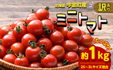 【訳あり】ミニトマト 約1kg (2S～3Lサイズ混合) トマト フルーツトマト 産地直送 甘いトマト 熟成トマト F21W-491