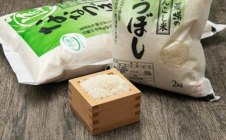 【2ヶ月定期便】令和5年産 らんこし米 ななつぼし 2kg