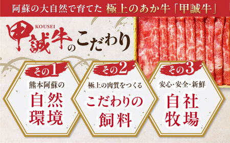 あか牛リブローススライス 400ｇ　【有限会社 三協畜産】[YCG110]
