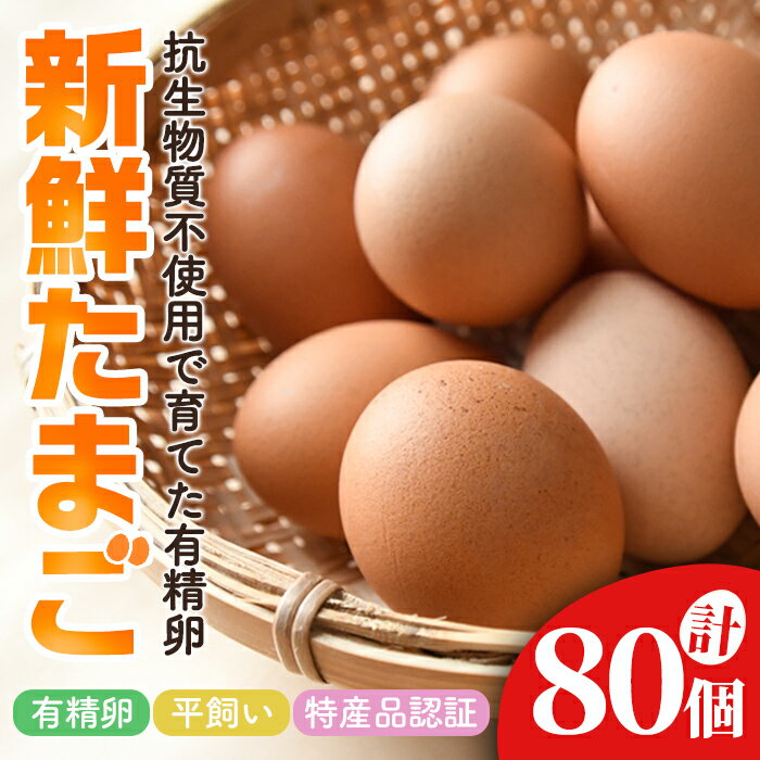 【ふるさと納税】 石黒たまご園の平飼い有精卵 80個入り たまご タマゴ 鶏卵 玉子 卵 常温 茨城県 普段使い用 パック包装 平飼い 80個 【石黒たまご園】【ho1624】