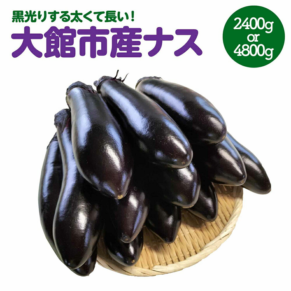 【ふるさと納税】【選べる内容量！】黒光りする太くて長いナス！ 約2400g or 4800g 【40P3218・80P3204】