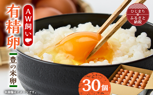 大分生まれのAW飼い有精卵「豊の米卵」30個入り【配送不可地域：離島】【1610938】