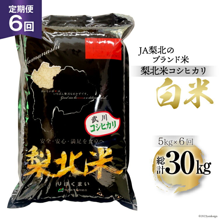 【ふるさと納税】 【定期便】【6回 米 定期便 】 武川米 コシヒカリ 5kg×6回 総計30kg [梨北農業協同組合 山梨県 韮崎市 20743672] こしひかり お米 おこめ こめ コメ 精米 30キロ ご飯 ごはん 白米 国産 JA梨北