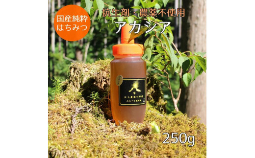 
【ふるさと納税】はちみつ　アカシアの花250ｇ（ご家庭用）
