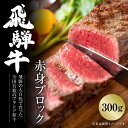 【ふるさと納税】飛騨牛 赤身ブロック[塊] 300g 冷凍真空パック | 肉 お肉 ローストビーフ 煮込み 焼肉 焼き肉 やきにく BBQ 黒毛和牛 和牛 人気 おすすめ 牛肉 ギフト お取り寄せ 7日以内お届け【飛騨高山ミート MZ020】