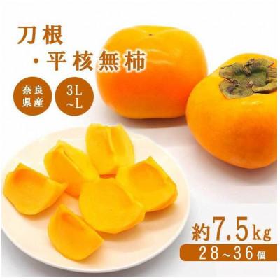 ふるさと納税 五條市 奈良のたねなし柿(刀根・平核無柿　約7.5Kg)