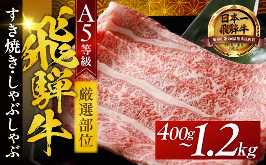 A5 飛騨牛 すき焼き しゃぶしゃぶ用 厳選 部位（肩バラ ブリスケ カタ ウデ モモ ほか）400g 牛肉 最高級 肉 霜降り和牛 国産 岐阜県 大垣市