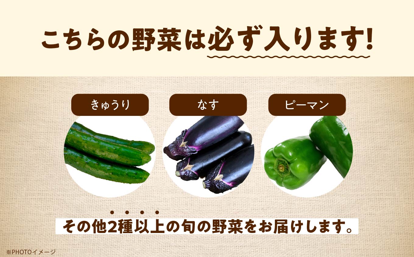 《2026年7月より順次発送》季節の有機野菜「夏セット」 オーガニック 有機栽培 有機 有機JAS 有機野菜 野菜セット 野菜 サラダ ベジタブル おすすめ お中元 お歳暮 ギフト 二本松市 ふくしま