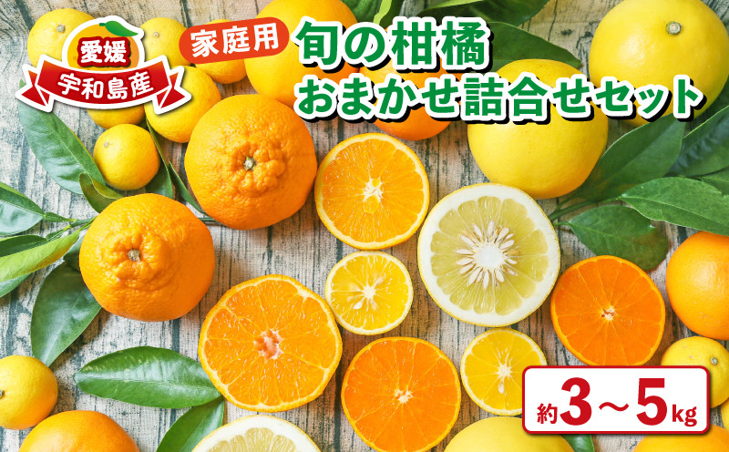 
            柑橘 おまかせ 詰合せ セット 3~5kg 家庭用 旬 季節の柑橘 フレッシュつちやま 品種 お任せ 果物 くだもの フルーツ 柑橘 愛媛みかん みかん mikan 蜜柑 産地直送 数量限定 国産 愛媛 宇和島 B010-096011
          