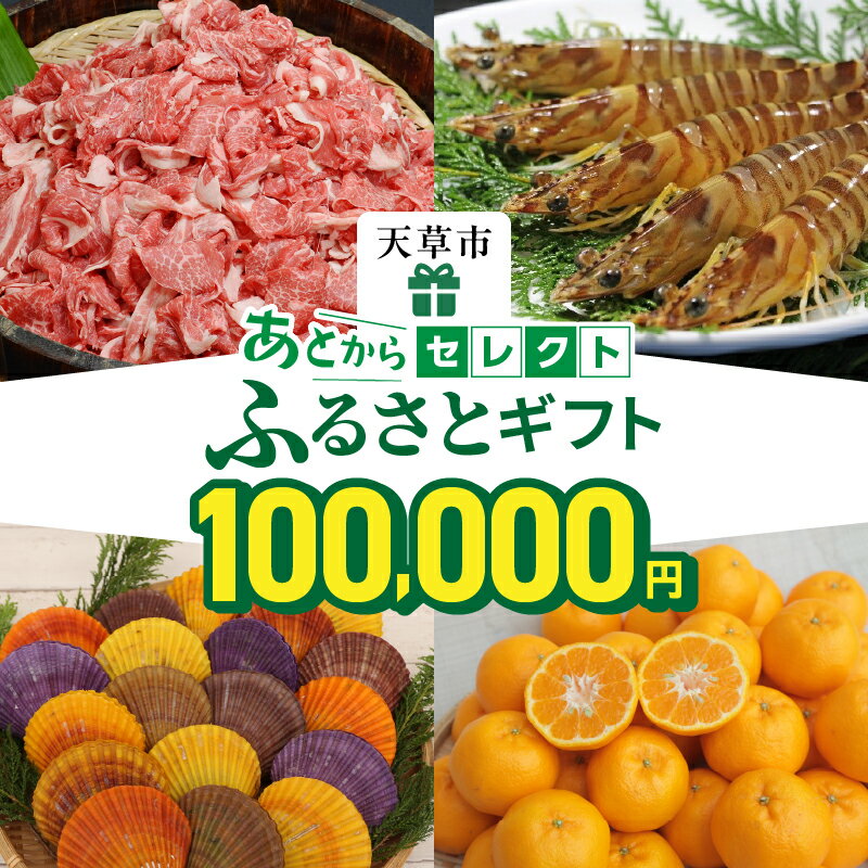 【ふるさと納税】あとからセレクト 10万円 【ふるさとギフト】 あとから選べる 肉 牛肉 黒毛和牛 定期便 魚 海鮮 ブリ 海老 車海老 干物 米 柑橘 ポンカン ふぐ 鶏肉 天草大王 パール アクセサリー あとから 選べる 天草市 熊本県
