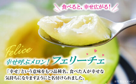 【先行予約】【6月上旬から順次発送】 メロン フェリーチェ 2から3玉 愛媛県大洲市/梶原農園　めろん 果物 フルーツ くだもの 青肉 高級 お取り寄せ　[AGCX002]