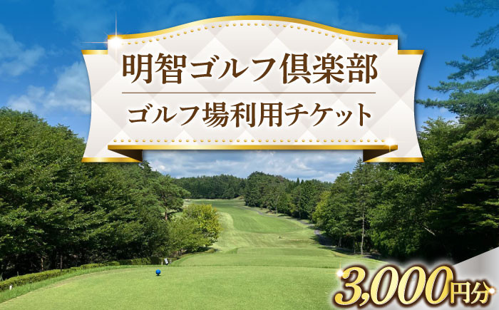 
            明智ゴルフ場利用券【3,000円分】 / ゴルフ場利用券 ゴルフ GOLF チケット 体験 利用券 利用料 明智 明智町 ゴルフ倶楽部 プレー 趣味 スポーツ リフレッシュ 家族 旅行 お取り寄せ 贈答 ギフト 岐阜県 / 恵那市 / 明智ゴルフ倶楽部 [AUDE006]
          