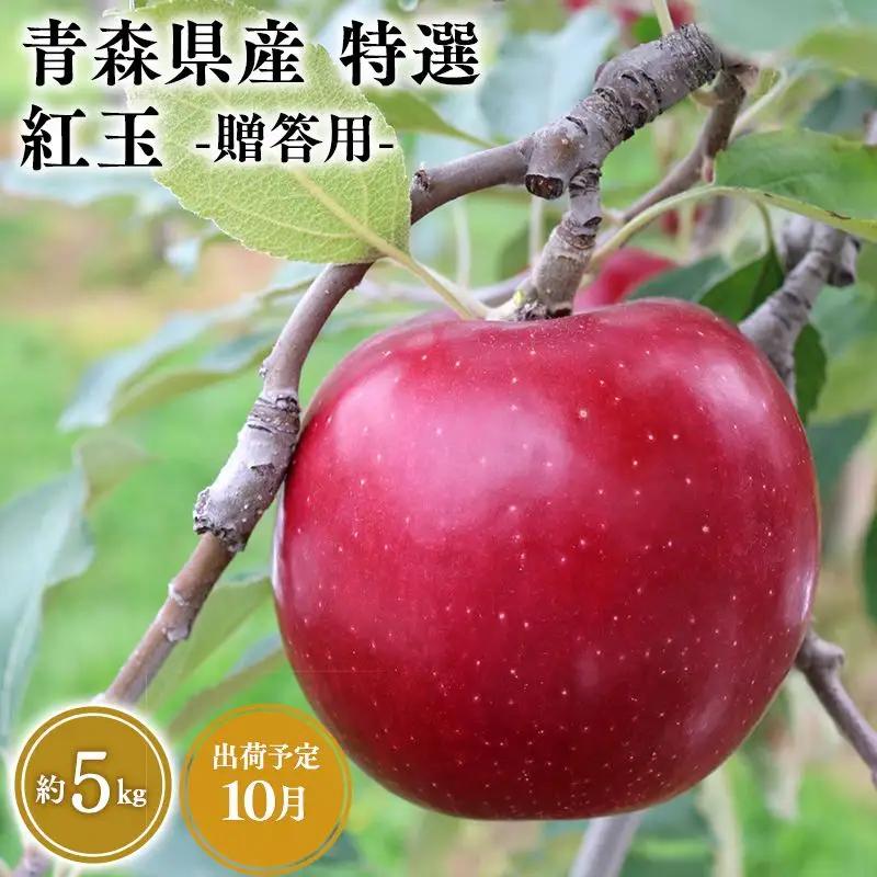 りんご 特選　紅玉 5kg りんご