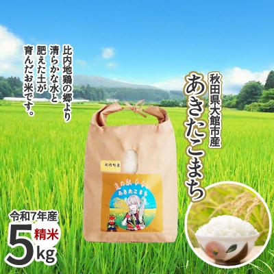 ふるさと納税 大館市 【令和7年産】あきたこまち(精米)5kg(5kg×1袋)