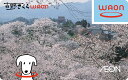 【ふるさと納税】吉野さくらWAON 　奈良県 吉野町 イオン カード