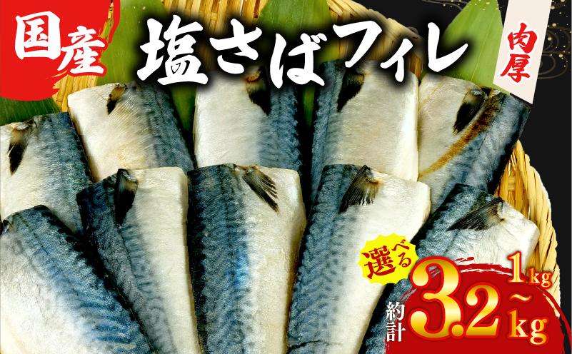 
            塩サバ フィレ 国産 【選べる内容量】 約1～3.2kg 小分け 個包装 鯖 天然 切り身 半身 肉厚 魚介 海鮮 冷凍 さば サバ フィーレ ご家庭用 贈答品 高級 人気 おかず おつまみ 静岡県 沼津市
          