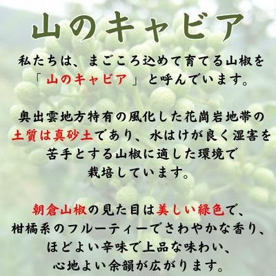 ふるさと納税 雲南市 奥出雲山椒ジャコのり「頼むからごはんください」 4個・山椒オリーブオイル1本セット |  | 02