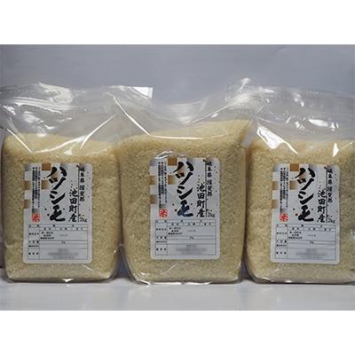 ふるさと納税 池田町 【令和7年産】8分精米 ハツシモ 2kg×3袋セット