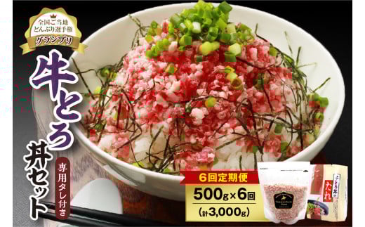 【6回定期便】人気の牛とろ丼セット 500g 専用タレ付き_S006-0070