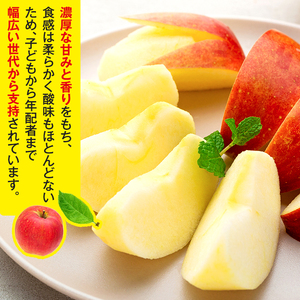 シナノスイート(約5㎏、優14～18玉)　