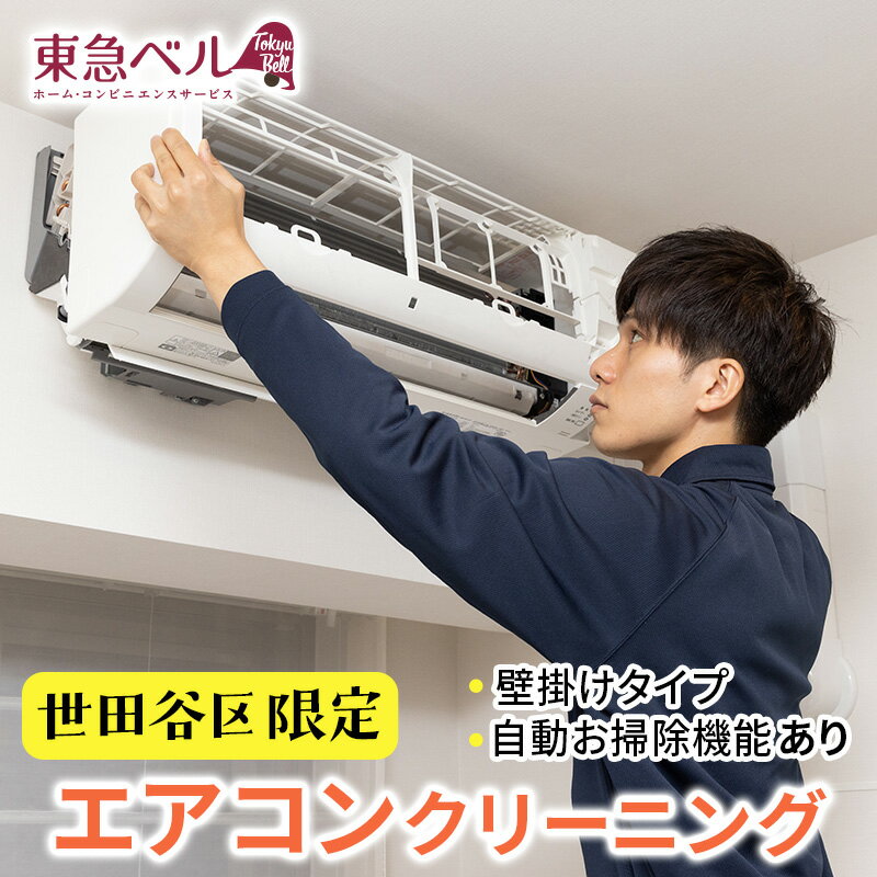 【ふるさと納税】【世田谷区内サービス限定】エアコンクリーニング（壁掛けタイプ、自動お掃除機能あり） 清掃 掃除 洗浄 ハウスクリーニング 家事代行