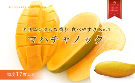 【オンライン決裁限定】 【 先行予約 : 2025年6月頃より順次発送 】 完熟マンゴー 2kg 糖度 17 以上 厳選 フルーツ 果物 国産 フルーツ トロピカルフルーツ アーウィン マハチャノック