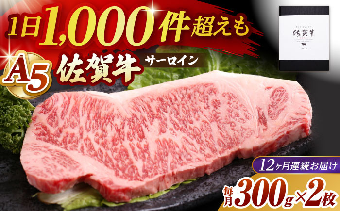 
【全12回定期便】佐賀牛 サーロイン ステーキ 600g ( 300g×2枚 ) 【山下牛舎】 [HAD068]
