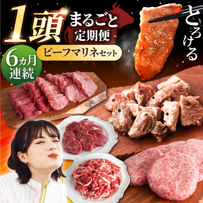 【6回定期便】しろいし牛1頭まるごと 食卓定期便 大容量 マリネ 焼肉 ハンバーグ肉 和牛 佐賀県産 肉 定期和牛 バラエティ定期 牛肉 様々定期 牛肉【有限会社佐賀セントラル牧場】 [IAH222]