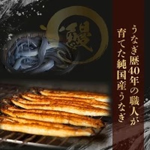 国産うなぎ蒲焼きざみ   合計600g（60×10袋）【U011】