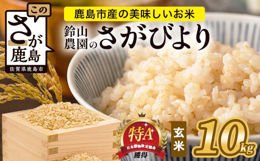 
            鈴山農園こだわり さがびより 玄米 10kg D-276 佐賀県 鹿島市 お米 ブランド米
          