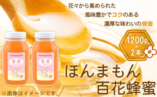 
										
										ほんまもん百花蜂蜜 1200g×2本 村上養蜂《90日以内に出荷予定(土日祝除く)》和歌山県 紀の川市---wsk_murayhh2_90d_21_30000_2400g---
									