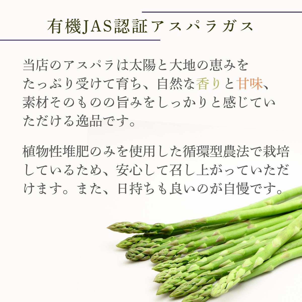 アスパラガス 【先行予約】オーガニック グリーンアスパラガス  L 500g or 1kg アスパラガス あすぱらがす アスパラ