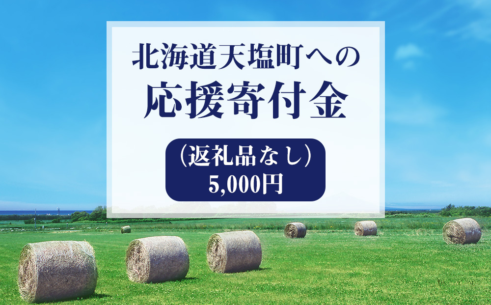 北海道天塩町 ☆応援寄附金☆【返礼品なし】5,000円分