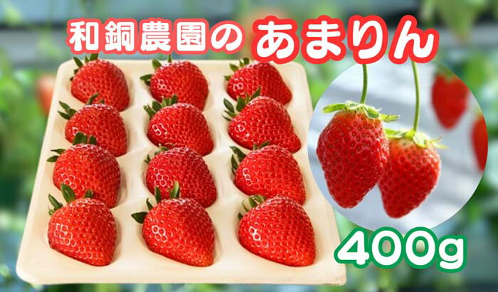 【ふるさと納税】 和銅農園のあまりん　400g ／ いちご あまりん 甘い ジューシー 香り高い フルーツ 400g 冷蔵 新鮮 ザート おやつ 高糖度 詰合せ 農園直送 果物 フルーツ 苺 イチゴ ジャムのように香り高い 大粒 厳選 朝採り 平成28年デビュー 特産 送料無料 埼玉県 No.631