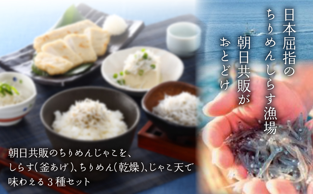 【ちりめん3種食べ比べ】佐田岬ちりめんじゃこセット IKTB020 