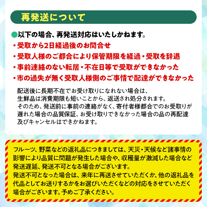 【令和9年産先行予約】山形県鶴岡市産 さくらんぼ 「佐藤錦」(Lサイズ以上) バラ詰め 500g 榎本菜園 K-935 | サクランボ チェリー 佐藤錦 果物 くだもの フルーツ 500グラム 甘い 完熟 旬 産地直送 人気 美味しい 2027年産 お取り寄せ 山形県 鶴岡市 東北 返礼品
