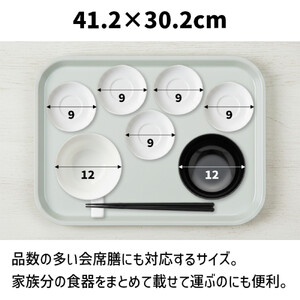 TATSU-CRAFT マグネット ノンスリップ トレー CASA 41cm PA パープル［Tk1194］